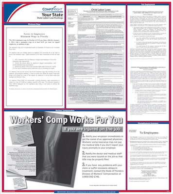 ComplyRight™ State Labor Law Poster; New York
