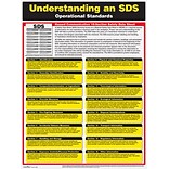 ComplyRight™ Safety Posters; Understanding SDS