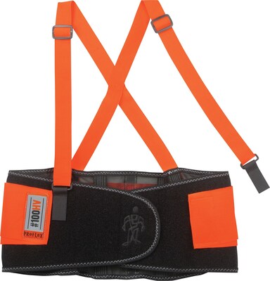 Ergodyne® ProFlex® 100 Economy Hi-Visibility Back Support, Orange, Medium