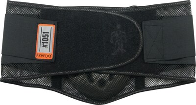 Ergodyne® ProFlex® 1051 Mesh Back Support With Lumbar Pad, Black, Small