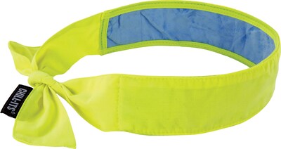 Ergodyne Chill-Its 6700 Evaporative Cooling Bandana, Lime, One Size, 6/Carton (12566)