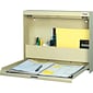 Datum WallWrite® Fold-Up Desk; Standard, Bone White