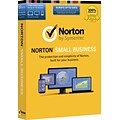 Norton Small Business (1-10 Users) [Product Key Card]