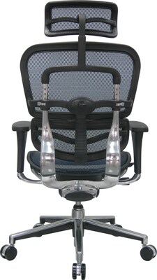 Raynor Eurotech Ergo human High Back Managers Chair, with Headrest and Mesh, Blue