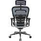 Raynor Eurotech Ergo human High Back Managers Chair, with Headrest and Mesh, Blue