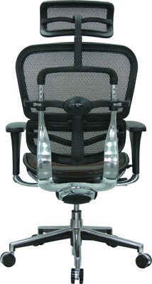 Raynor Eurotech Ergo human High Back Managers Chair, with Headrest and Mesh, Orange