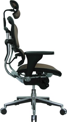 Raynor Eurotech Ergo human High Back Managers Chair, with Headrest and Mesh, Orange