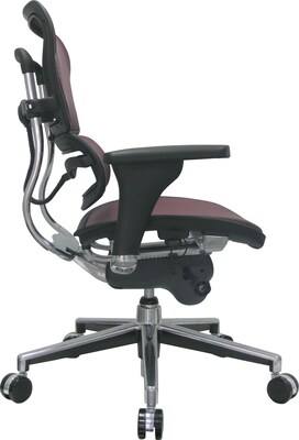 Raynor Eurotech Ergo human Mesh Mid Back Task Chair, Plum Red