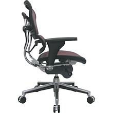 Raynor Eurotech Ergo human Mesh Mid Back Task Chair, Plum Red