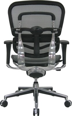 Raynor Eurotech Ergo human Mesh Mid Back Task Chair, Gray