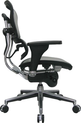 Raynor Eurotech Ergo human Mesh Mid Back Task Chair, Gray