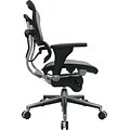 Raynor Eurotech Ergo human Mesh Mid Back Task Chair, Gray