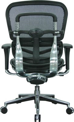 Raynor Eurotech Mesh/Leather Mid Back Ergo human Chair, Black
