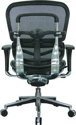 Raynor Eurotech Mesh/Leather Mid Back Ergo human Chair, Black