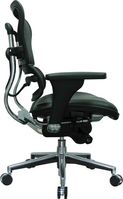 Raynor Eurotech Mesh/Leather Mid Back Ergo human Chair, Black