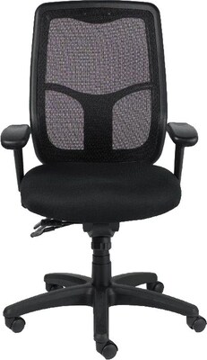 Raynor Eurotech Apollo Mesh High-Back Task Chair, Black, Adjustable Arms (MFHB9SL)