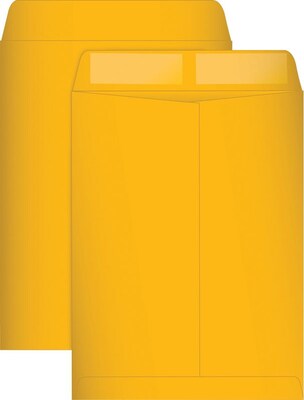 Quill Brand® 24lb. Gummed Catalog Envelopes; Brown-Kraft, 9-1/2x12-1/2, 250/Box