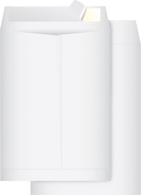 Quill Brand® Peel and Seal Plain Catalog Envelope, White, 9-1/2 x 12-1/2, 100/Box (72019)