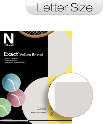 Neenah® 67-lb. Exact Vellum Bristol Card Stock, 8-1/2 x 11, Letter, Grey, 250/Pack