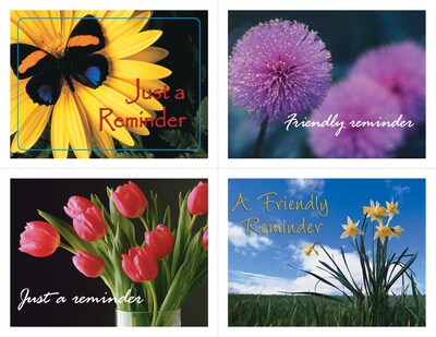 Generic Assorted Postcards; for Laser Printer; Flower Groups, 100/Pk