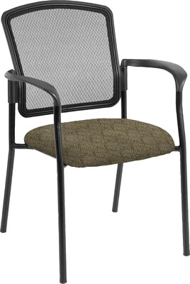 Raynor Eurotech Dakota Fabric Guest Chair, Obsidian (7011 RING-OBS)