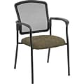 Raynor Eurotech Dakota Fabric Guest Chair, Obsidian (7011 RING-OBS)
