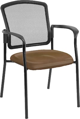 Raynor Eurotech Dakota Fabric Guest Chair, Canyon Mudslide, 2/Carton (7011 CANY-MUD)