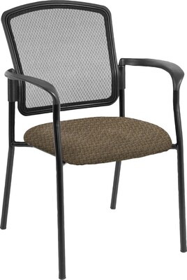 Raynor Eurotech Dakota Fabric Guest Chair, Brown (7011 CIRQ-MOCH)