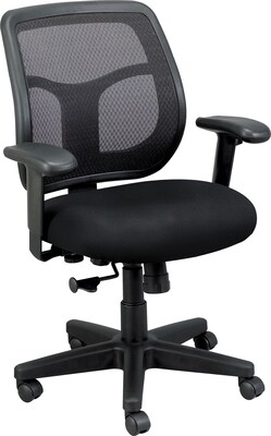 Raynor Eurotech Apollo Mesh Back Task Chair, Basis Onyx