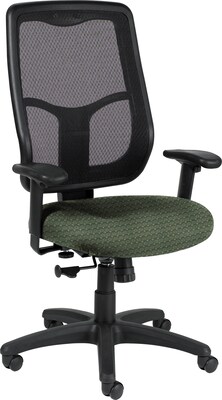 Raynor Eurotech Apollo Fabric Mid-back Multi-Function Task Chair, Cirque Summer Grass (MTHB94 CIRQ-GRS)