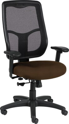 Raynor Eurotech Apollo Fabric Mid-back Multi-Function Task Chair, Canyon Mudslide (MTHB94 CANY-MUD)
