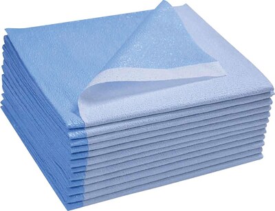 Avalon Stretcher Sheet; 40" x 72", Blue, 50/Case