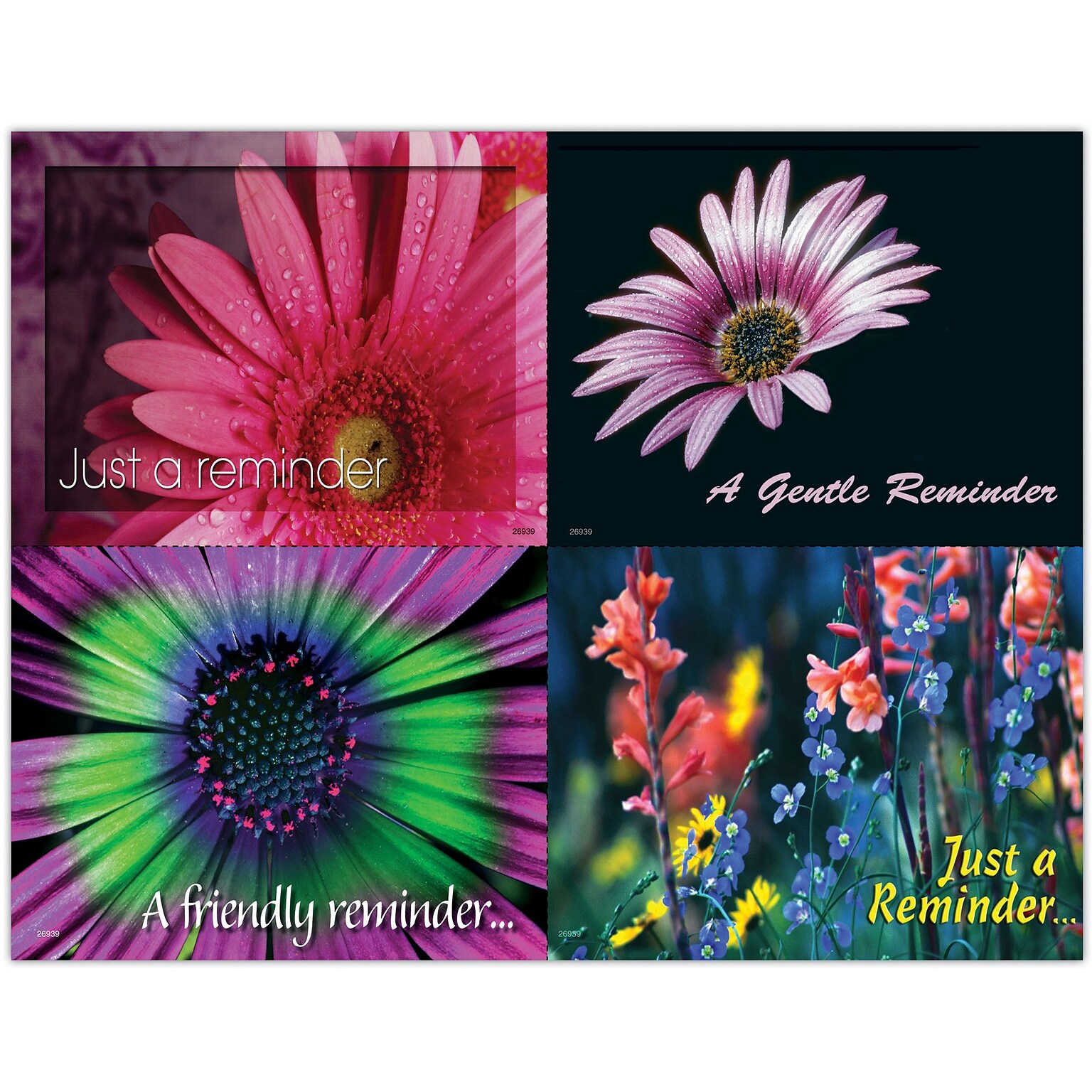 Generic Assorted Postcards; for Laser Printer; Assorted Floral, 100/Pk