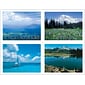 Generic Assorted Postcards; for Laser Printer; A Fresh Reminder, 100/Pk