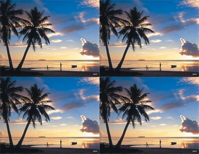 Generic Postcards; for Laser Printer; Palm Trees & Ocean Scene, 100/Pk