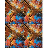 Scenic Postcards; for Laser Printers; Autumn Colors
