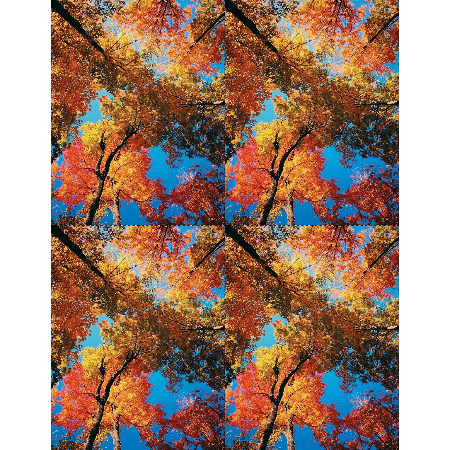 Scenic Postcards; for Laser Printer; Autumn Colors, 100/Pk