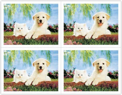 Generic Laser Postcards, Dog & Cat