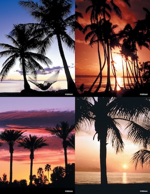 Generic Assorted Postcards; for Laser Printer; Palm Trees, 100/Pk