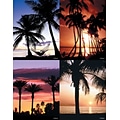 Generic Assorted Postcards; for Laser Printer; Palm Trees, 100/Pk