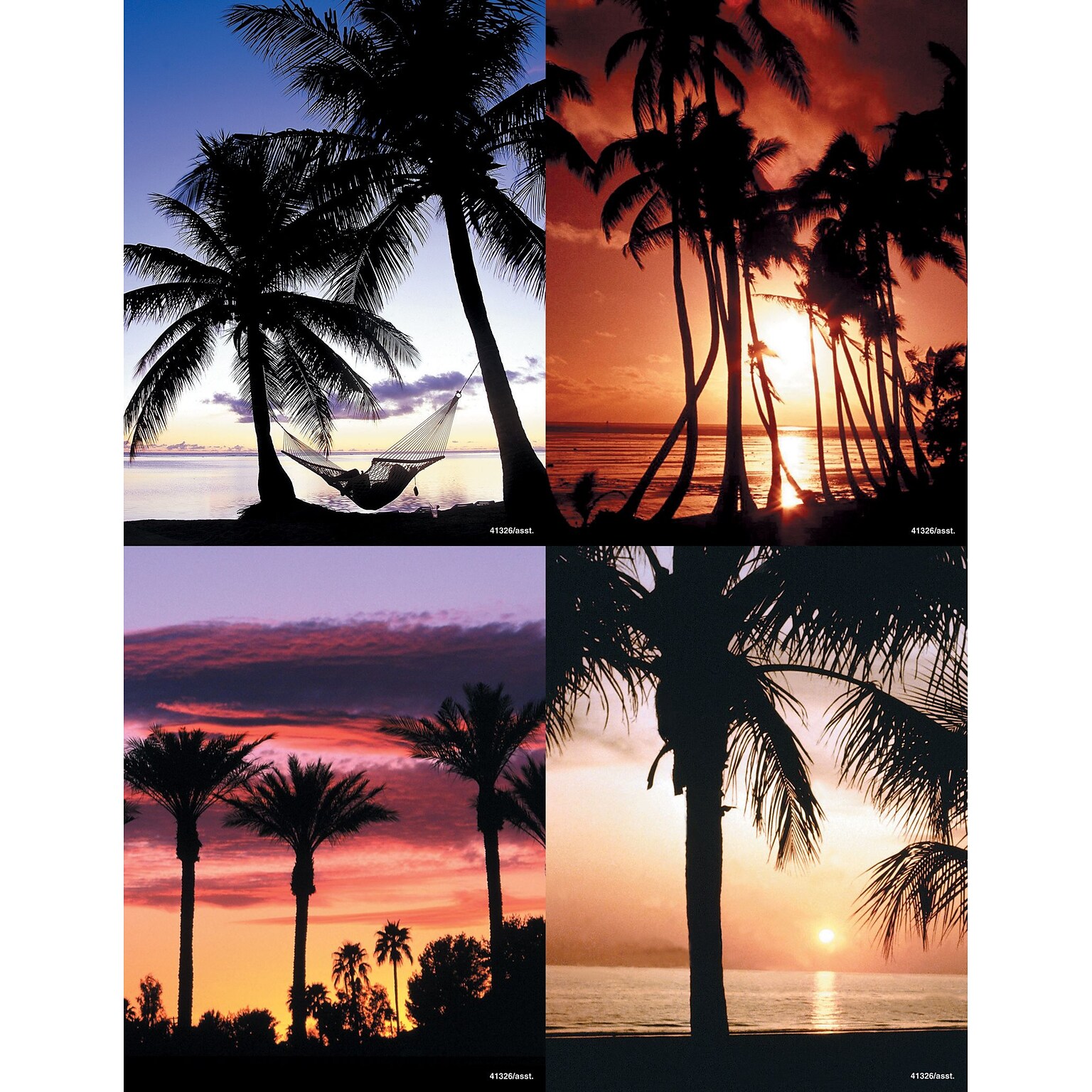 Generic Assorted Postcards; for Laser Printer; Palm Trees, 100/Pk