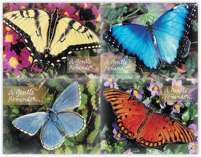 Generic Assorted Postcards; for Laser Printer; Beautiful Butterflies, 100/Pk