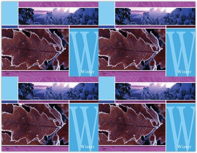 Generic Postcards; for Laser Printer; Winter Scene, 100/Pk