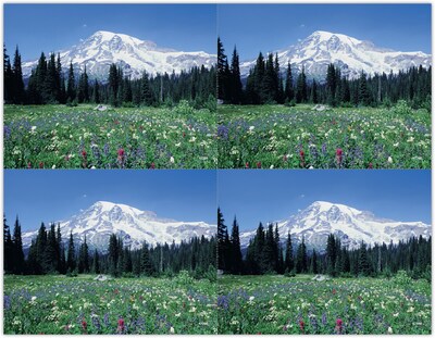 Generic Postcards; for Laser Printer; Mountain Meadow Scene, 100/Pk