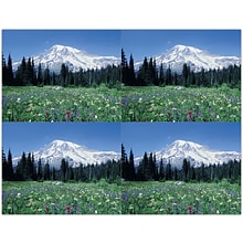 Generic Postcards; for Laser Printer; Mountain Meadow Scene, 100/Pk