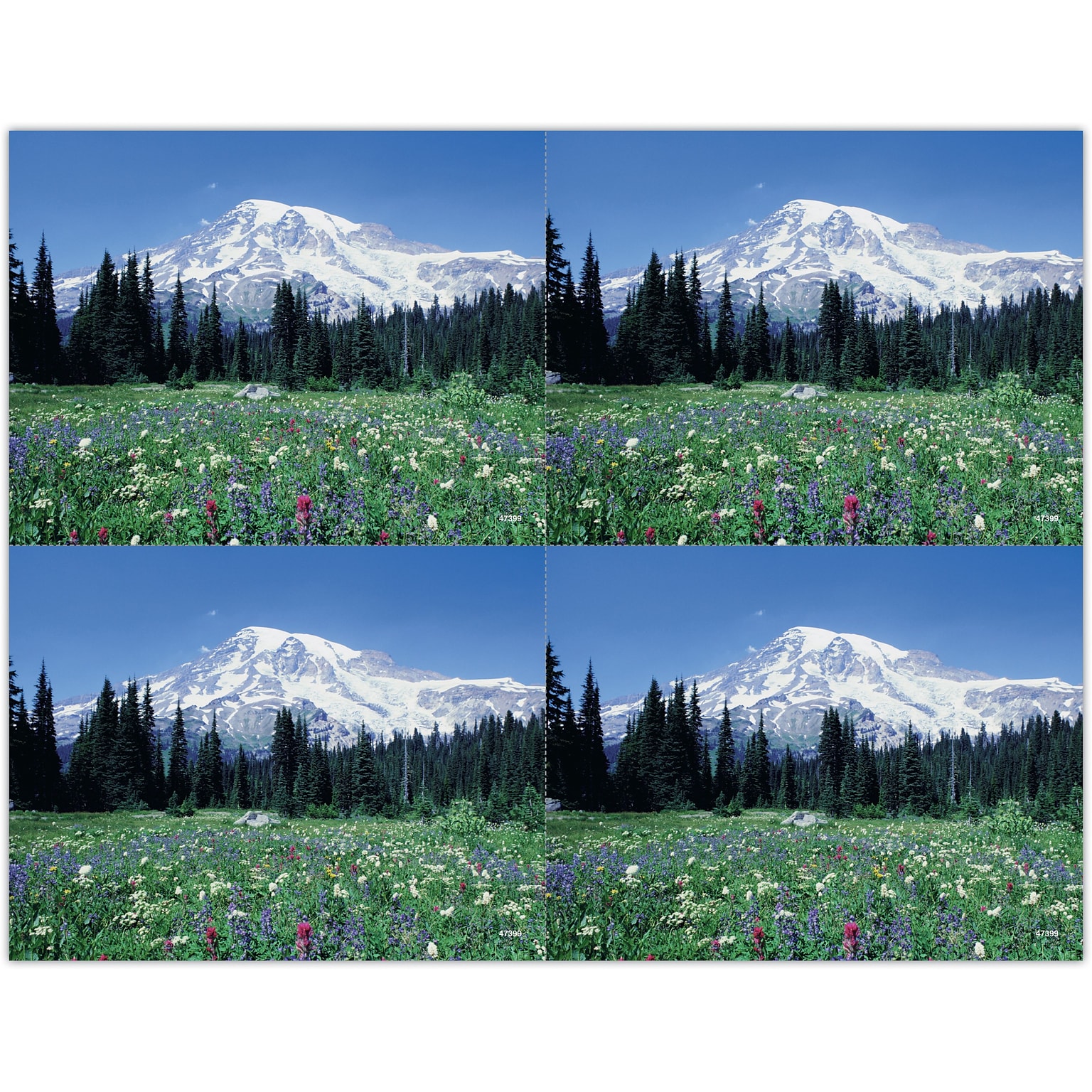 Generic Postcards; for Laser Printer; Mountain Meadow Scene, 100/Pk