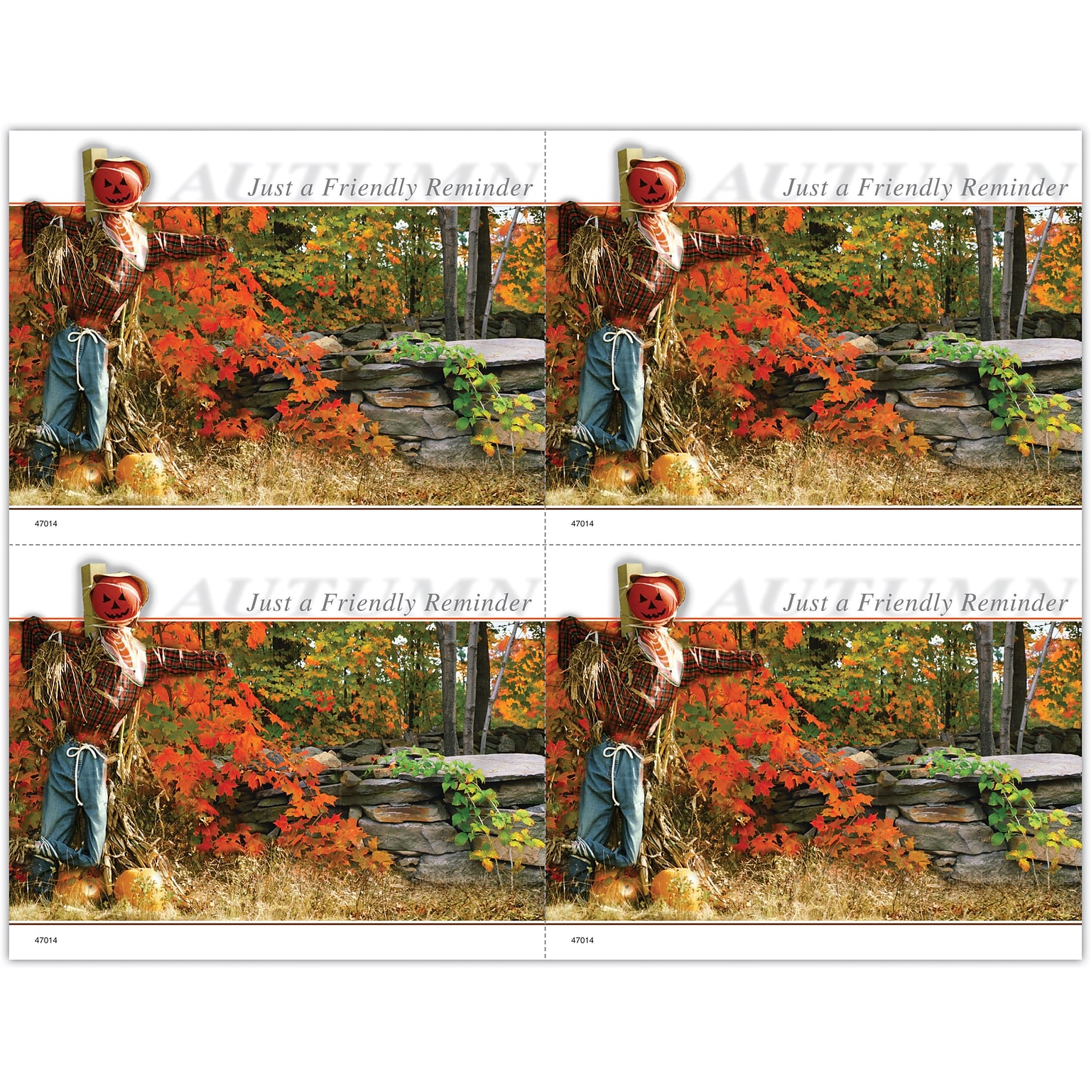 Generic Postcards; for Laser Printer; Scarecrow, 100/Pk