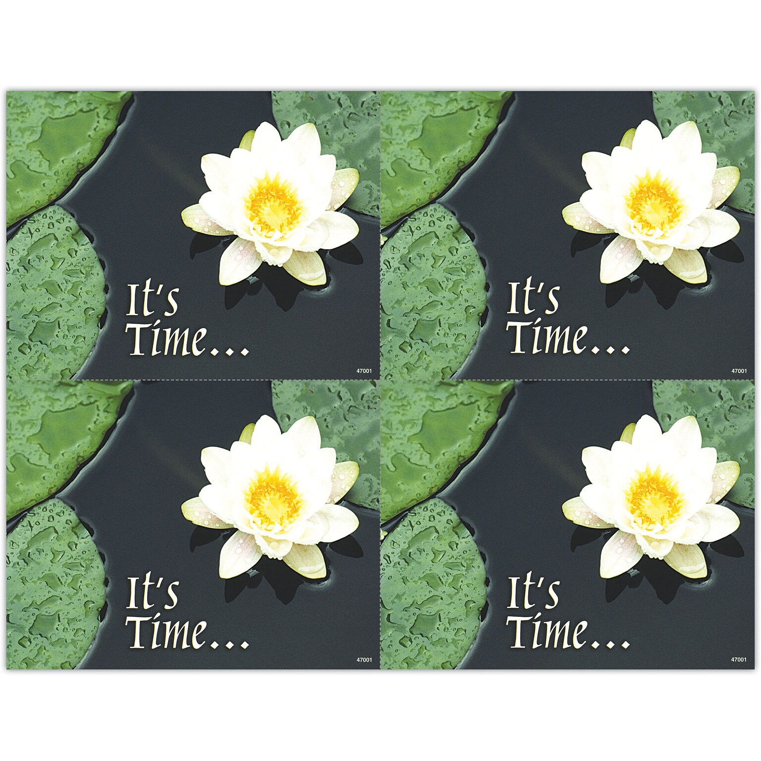 Generic Postcards; for Laser Printer; Water Lily, Its Time, 100/Pk