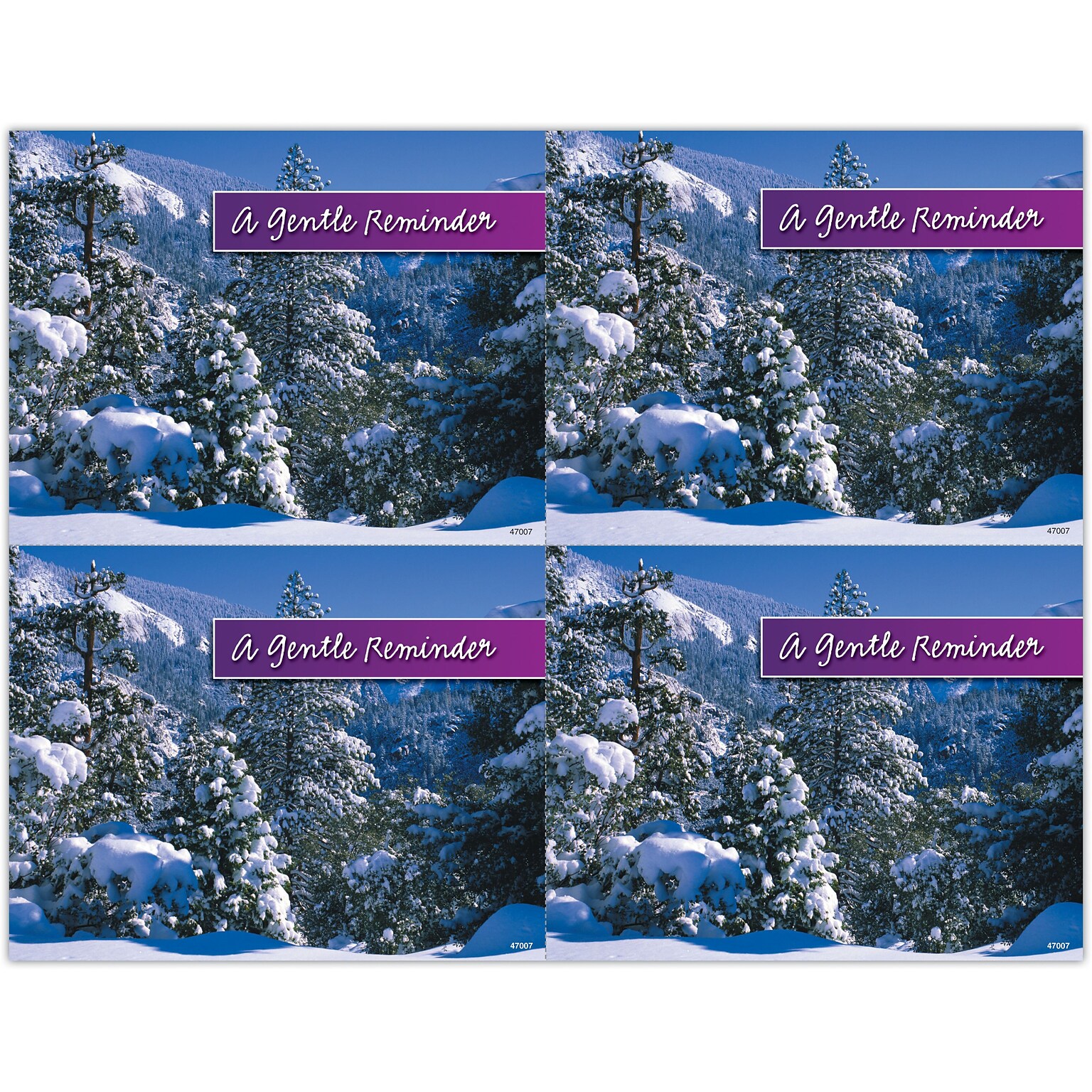 Generic Postcards; for Laser Printer; Snowy Trees, 100/Pk