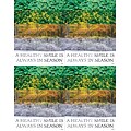 Scenic Postcards; for Laser Printer; A Healthy Smile Is Always In Season, 100/Pk